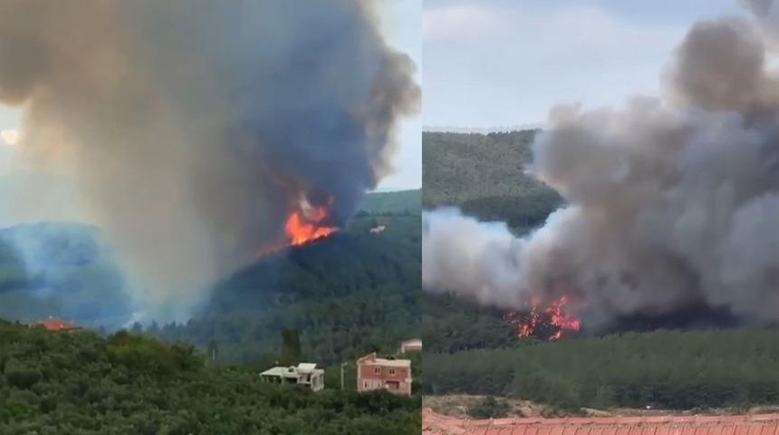 Bursa'da orman yangını! Ekipler sevk edildi... Dumanı kent merkezine doğru geniş bir bölgeye yayıldı