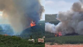 Bursa'da orman yangını! Ekipler sevk edildi... Dumanı kent merkezine doğru geniş bir bölgeye yayıldı