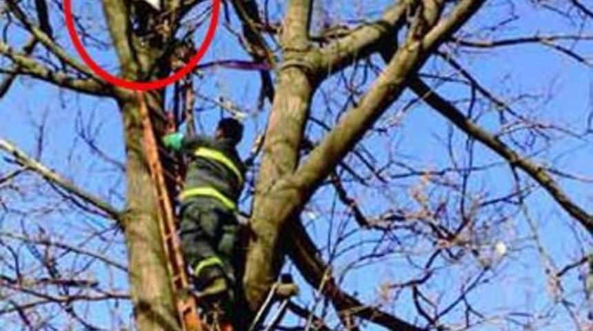 R&uuml;zgar adamı havaya u&ccedil;urdu!