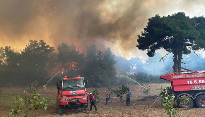 Son dakika | Bursa’da orman yangını! Ekiplerin müdahalesi sürüyor