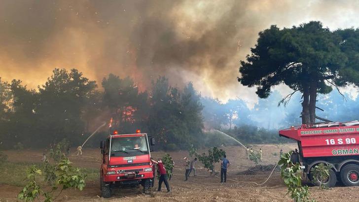 Son dakika | Bursa'da orman yangını! Ekiplerin müdahalesi sürüyor