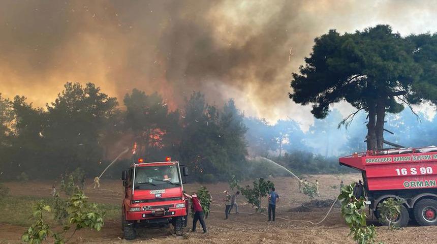 Son dakika | Bursa'da orman yangını! Ekiplerin müdahalesi sürüyor