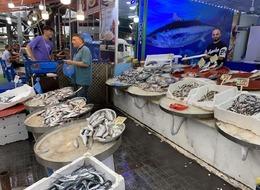 Sezonun ilk istavrit ve hamsileri satışa çıktı! İşte balık fiyatları