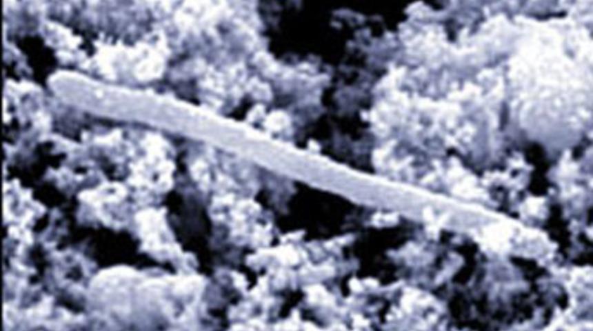 İşte d&uuml;nyanın en yalnız canlısı