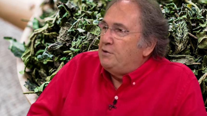 Neredeyse kimse bilmiyor! İbrahim Saraçoğlu öyle bir ot önerdi ki çayını içen tüm hastalıklardan korunuyor