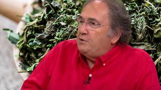 Neredeyse kimse bilmiyor! İbrahim Saraçoğlu öyle bir ot önerdi ki çayını içen tüm hastalıklardan korunuyor
