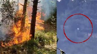 SON DAKİKA| Sultangazi Kent Ormanı'nda yangın: Kamera görüntüleri sonrası 'kundaklama' iddiası! Dumanlar İstanbul'un birçok noktasından görüldü