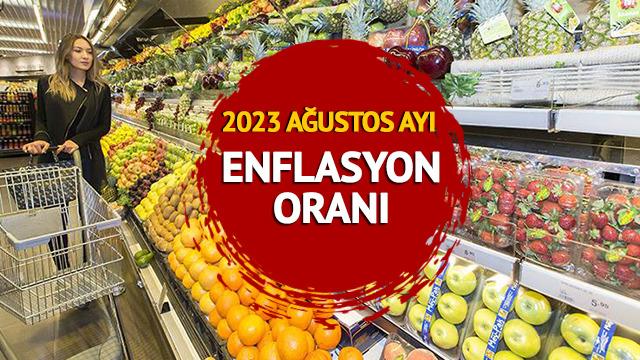 AĞUSTOS AYI ENFLASYON ORANI 2023 SON DAKİKA: TEFE TÜFE ile Ağustos ayı enflasyon oranı ne oldu, yüzde kaç? TÜİK açıkladı