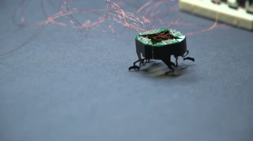 Yapımında böceklerden esinlenildi! Yeteneğiyle görenleri şaşkına çeviriyor