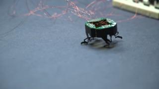 Yapımında böceklerden esinlenildi! Yeteneğiyle görenleri şaşkına çeviriyor