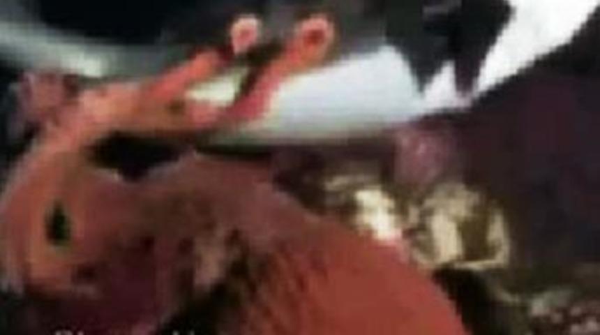 Ahtapot k&ouml;pekbalığını b&ouml;yle yuttu