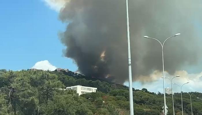 SON DAKİKA | Maltepe’de orman yangını! Alevler evlere yaklaştı