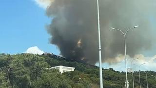 SON DAKİKA | Maltepe'de orman yangını! Alevler evlere yaklaştı