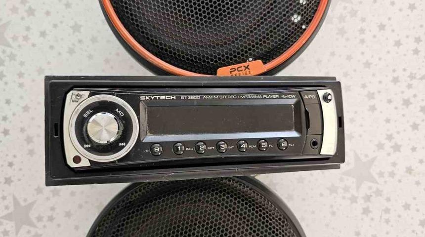 Oto hırsızları polisten kaçamadı