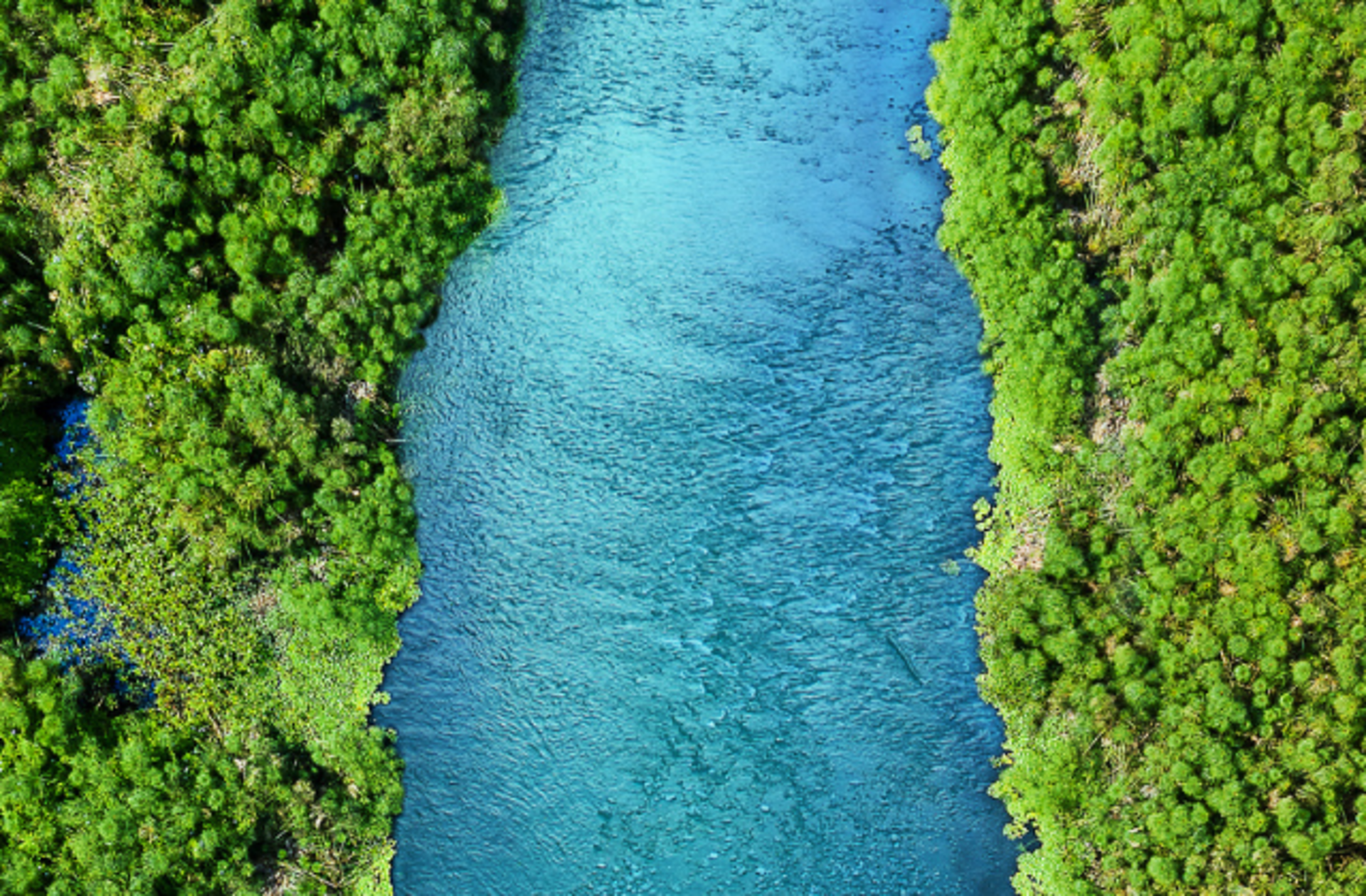 Binlerce yıllık kaynakları ve değişmeyen lezzetiyle yıllardır güvenle tüketiliyor