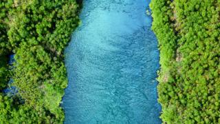 Binlerce yıllık kaynakları ve değişmeyen lezzetiyle yıllardır güvenle tüketiliyor