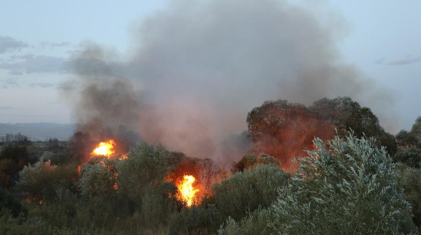 Ağrı'da ağaçlık alanda çıkan yangın söndürüldü