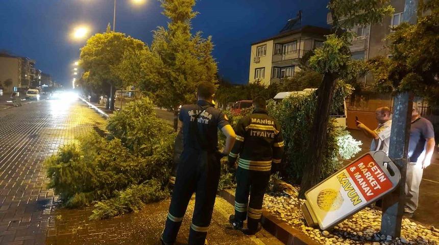 Manisa’da fırtına ağaçları devirdi
