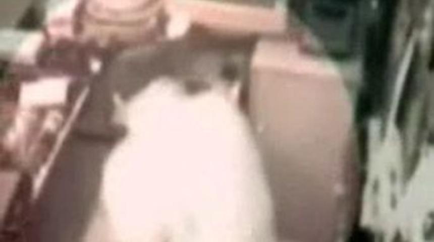 Polis uyuşturucu buldu(!)