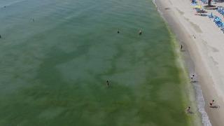 İstanbul’da korkutan görüntü! Yeşile bürünen denize aldırış etmediler...