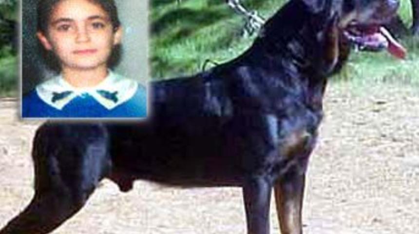 Köpekten kaçarken otomobilin altında kaldı