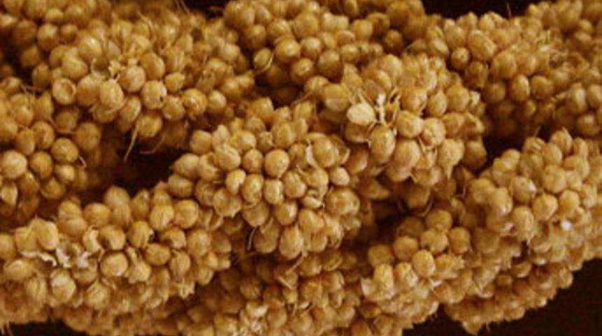 Zayıflatan 5 doğal yiyecek