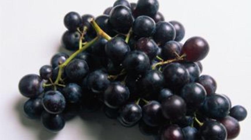 Dikkat kalitesi i&ccedil;in hafıza eğitimi