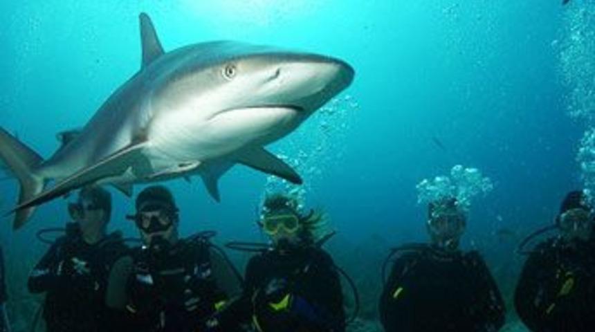 D&uuml;nyanın en tehlikeli 7 tatili