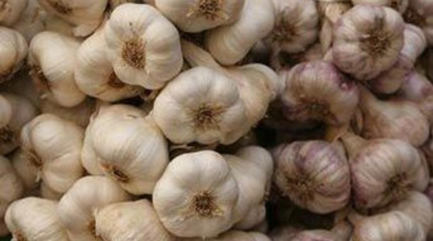 Gribe sarımsak, kansere zencefil