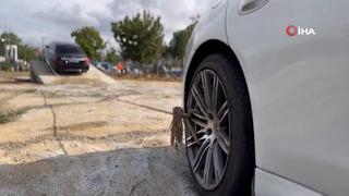 İstanbul'u vuran sel felaketi sonrası bu çözümü buldular! Milyonluk araçları halatla ağaca bağladılar