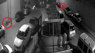 Yer: İstanbul! Görenler gözlerine inanamadı... Panikten ne yapacaklarını bilemediler!