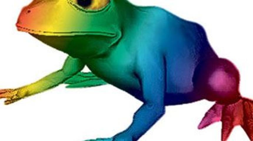 Kurbağa 'TANRI' oldu!