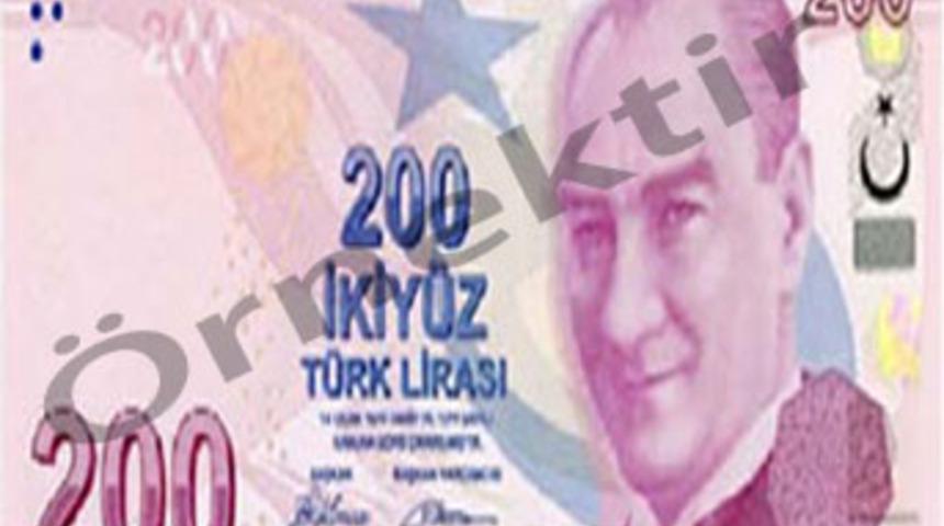 TL'de b&uuml;y&uuml;k hata