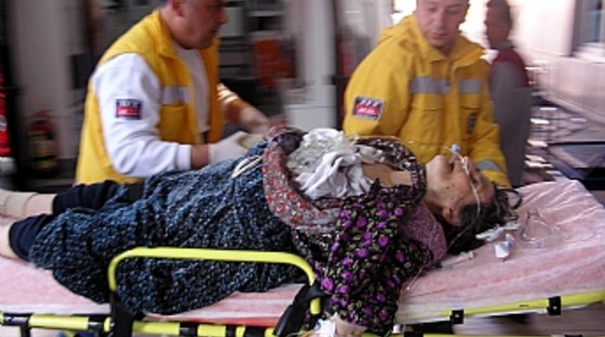 Pencereyi kapı zannedince...