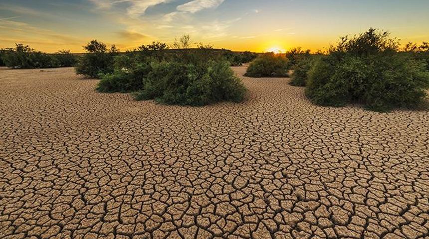 BM Genel Sekreteri Guterres: 'İklim yıkımı başladı'