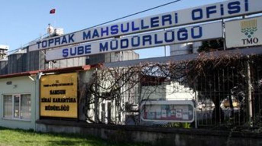 TMO'ya operasyon: 31 g&ouml;zaltı