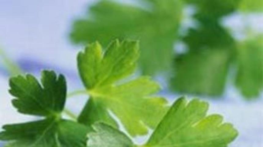 Zayıflatan sebze k&uuml;r&uuml;