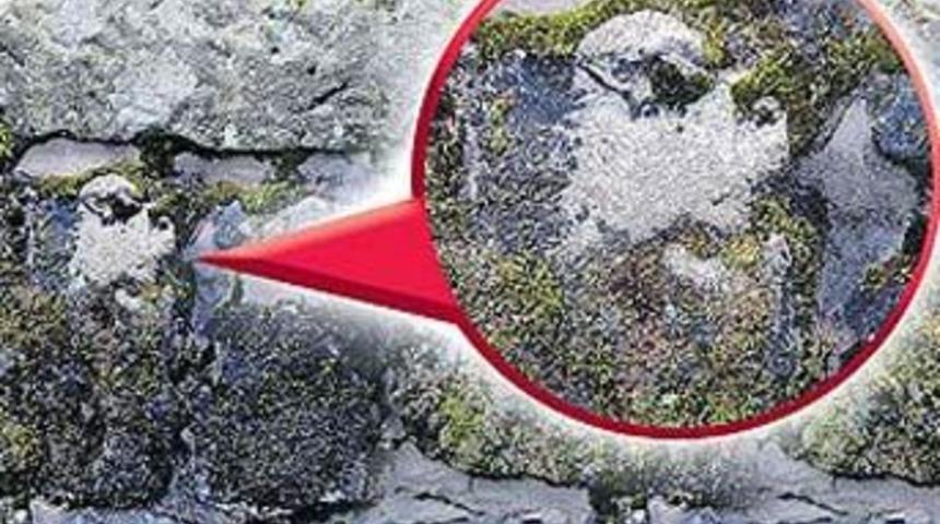 Duvardaki y&uuml;z kimin?