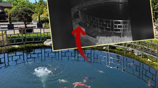 Bir tanesinin değeri tam 125 bin dolar... 50 tanesi birden kayboldu: Gerçek bambaşka çıktı!