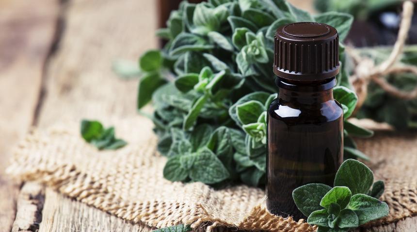 Mercanköşkün faydaları nelerdir? Mercanköşk nerelerde kullanılır?	