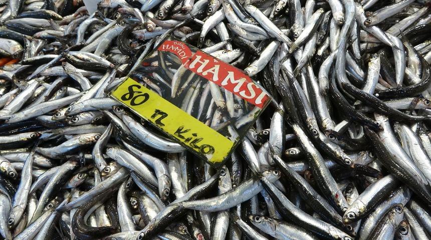 Vatandaşlar bu yıl bol bol balık tüketebilir! Hamsi bolluğu yaşanıyor
