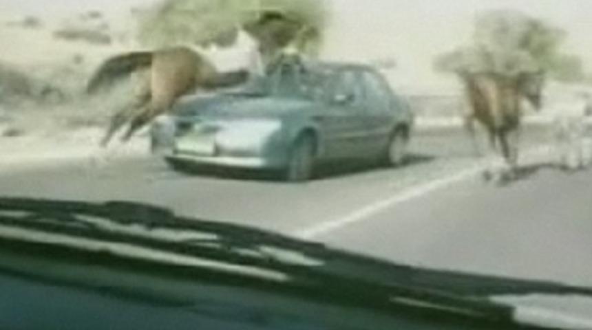 Otomobil ata &ccedil;arpınca...