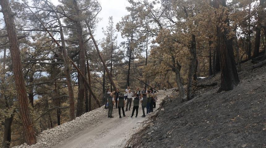 Bolu’da yanan ormanların yaraları sarılıyor