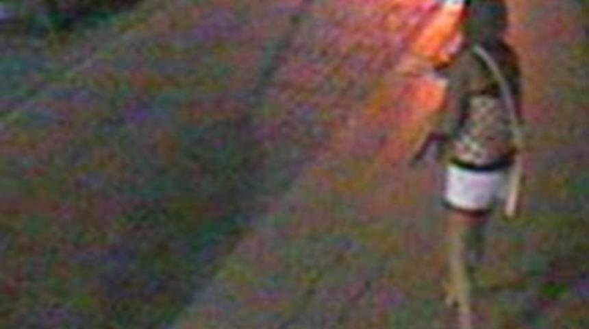 Turistlerin taşkınlıkları kamerada