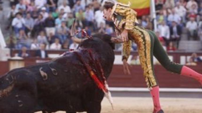 Yaralı boğanın intikamı