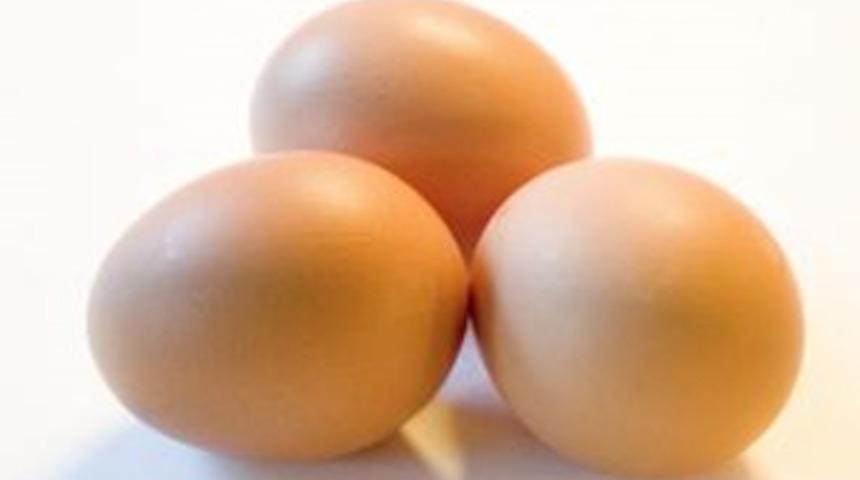 Bu yumurtalara dikkat
