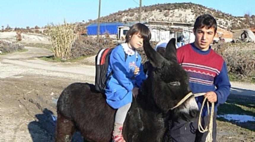 Ege'nin g&ouml;beğinde eşek sırtında taşımalı eğitim 