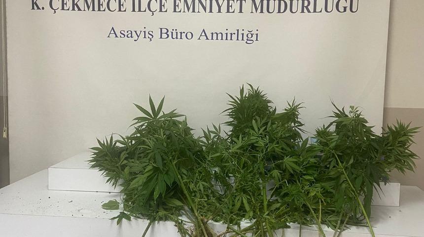 İstanbul'da uyuşturucu operasyonunda 4 şüpheli yakalandı