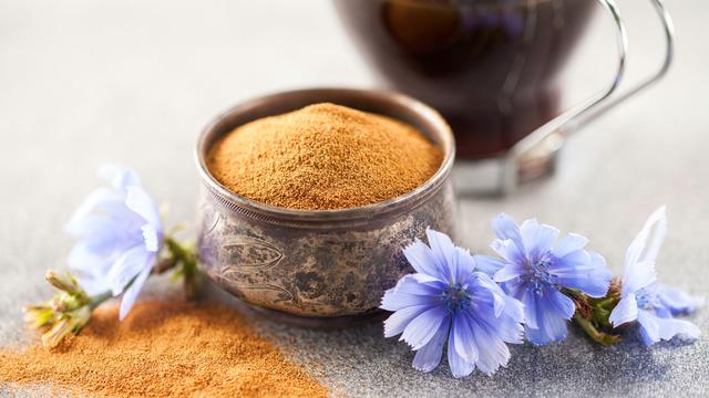 Hindiba kahvesi faydaları: Hindiba kahvesi ne işe yarar?