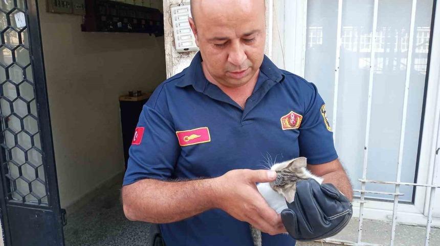 Bodrum havalandırmasına düşen yavru kediyi, itfaiye kurtardı